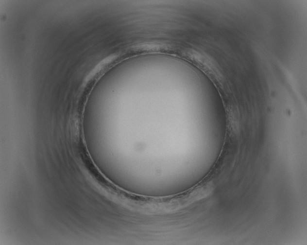 X0000078310016200611101239