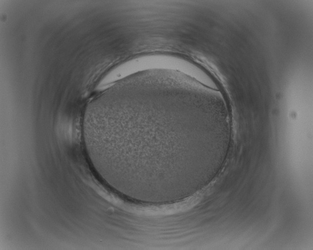 X0000078310017200611101239