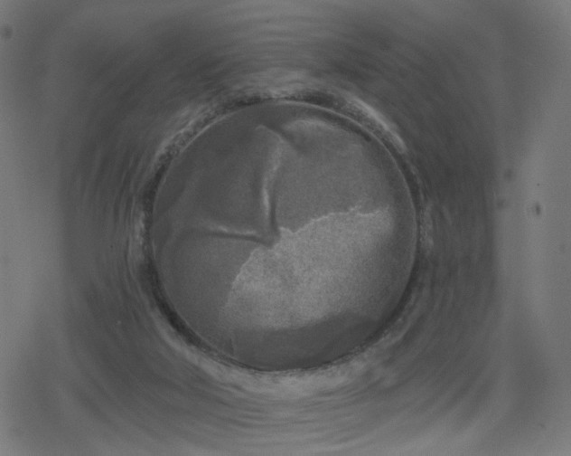 X0000078310018200611101239