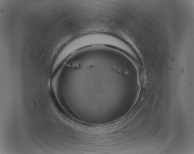 X0000078310019200611101239