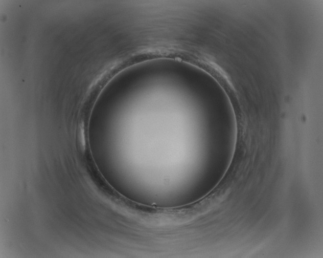 X0000078310020200611101239