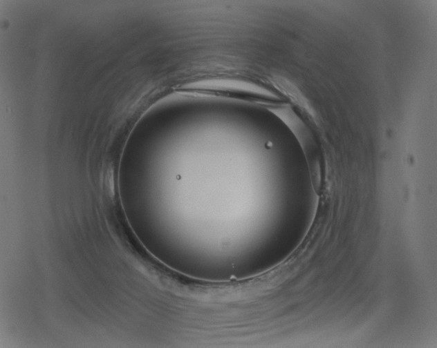 X0000078310021200611101239