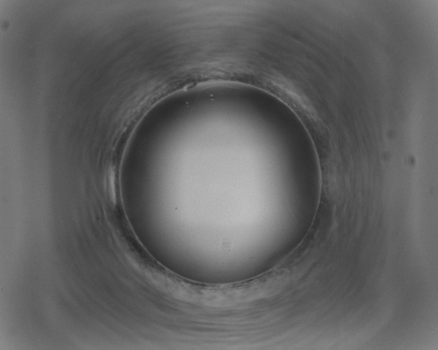 X0000078310022200611101239