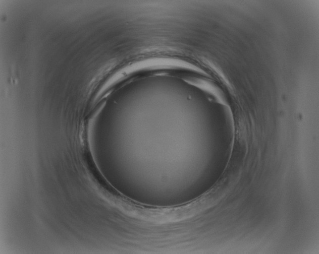 X0000078310023200611101239