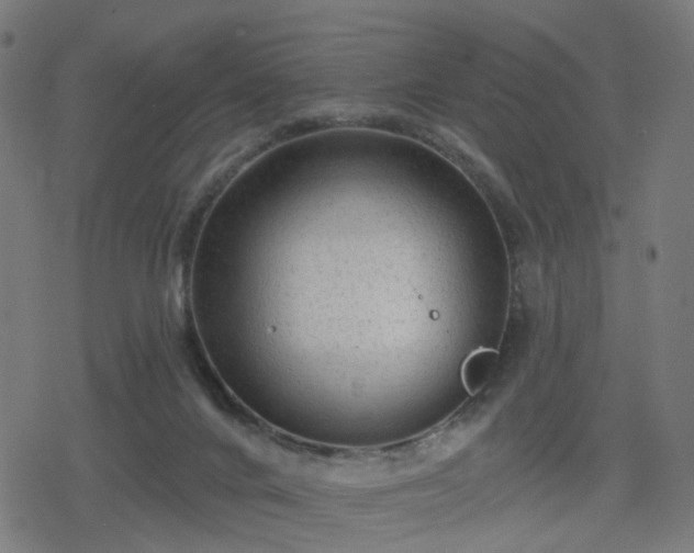 X0000078310024200611101239