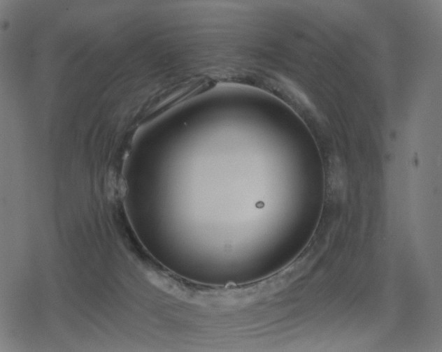 X0000078310025200611101239