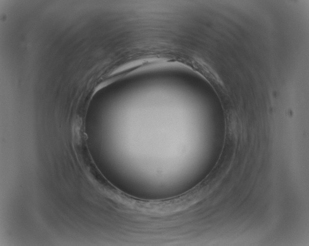 X0000078310026200611101239