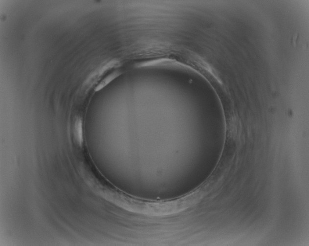 X0000078310027200611101239