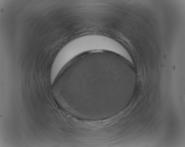 X0000078310029200611101239