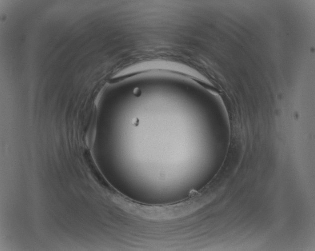 X0000078310030200611101239