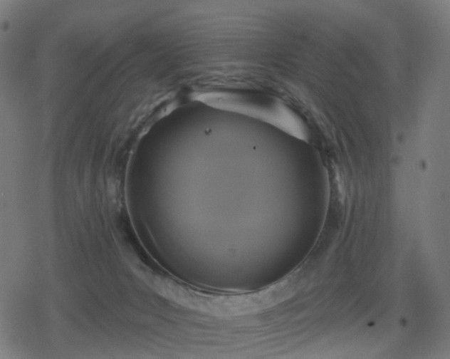 X0000078310031200611101239