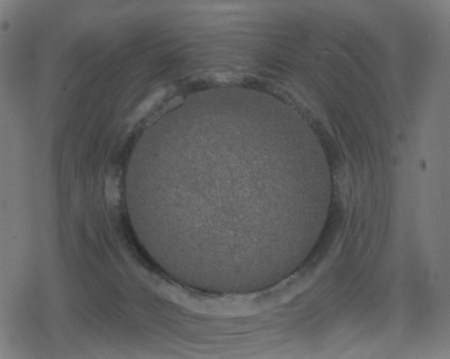 X0000078310032200611101239