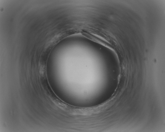 X0000078310033200611101239