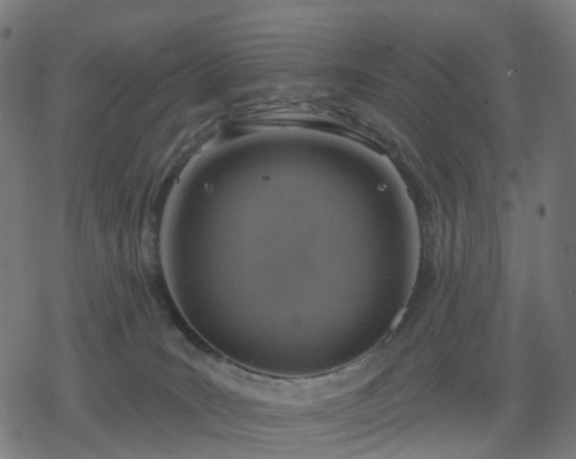 X0000078310035200611101239