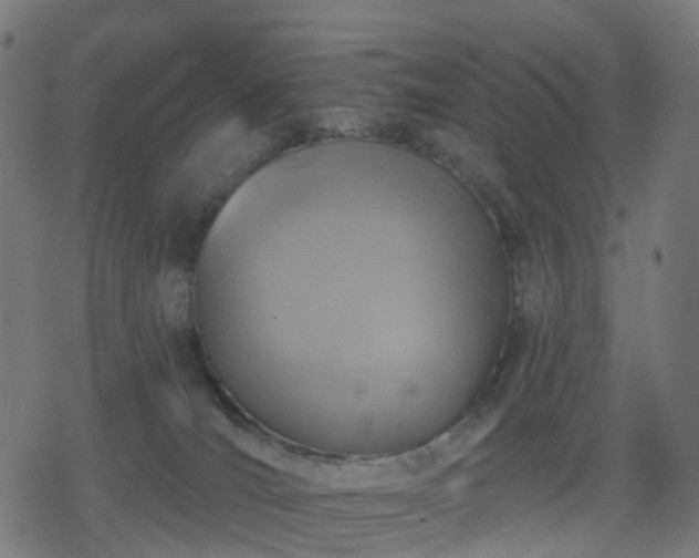 X0000078310036200611101239