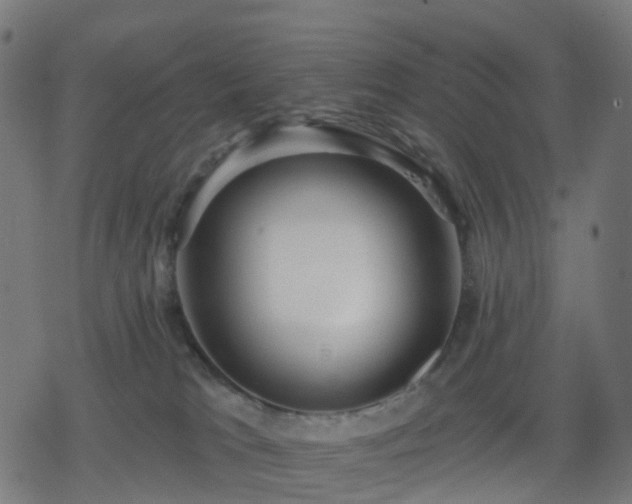 X0000078310037200611101239