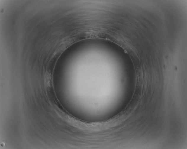 X0000078310038200611101239