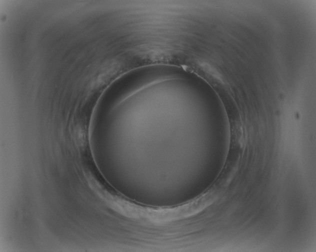 X0000078310039200611101239