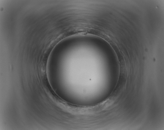 X0000078310040200611101239