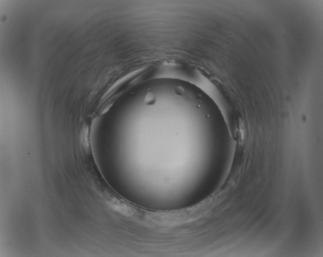 X0000078310041200611101239