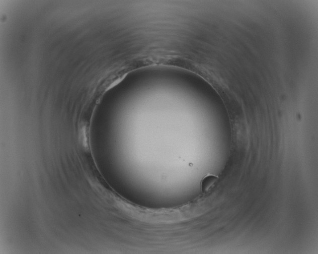 X0000078310042200611101238