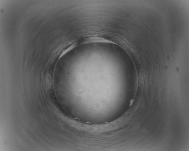 X0000078310043200611101238