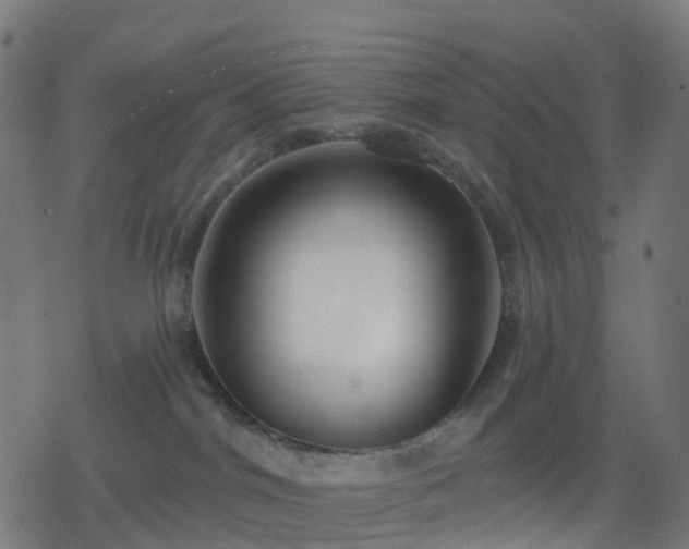 X0000078310044200611101238