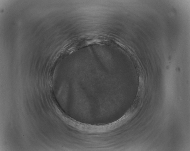 X0000078310048200611101238