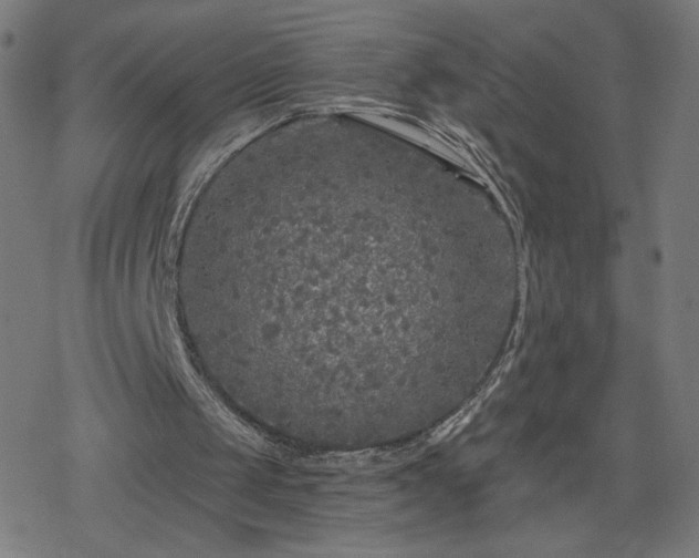 X0000078310049200611101238