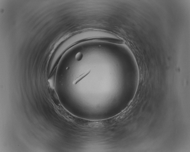 X0000078310050200611101238