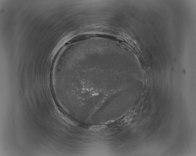 X0000078310051200611101238