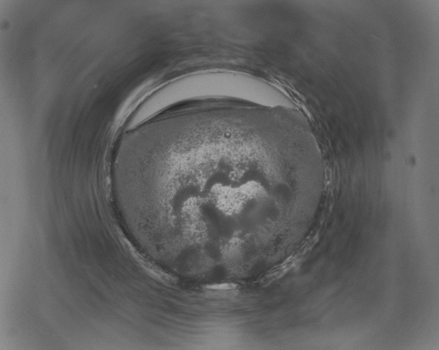 X0000078310053200611101238