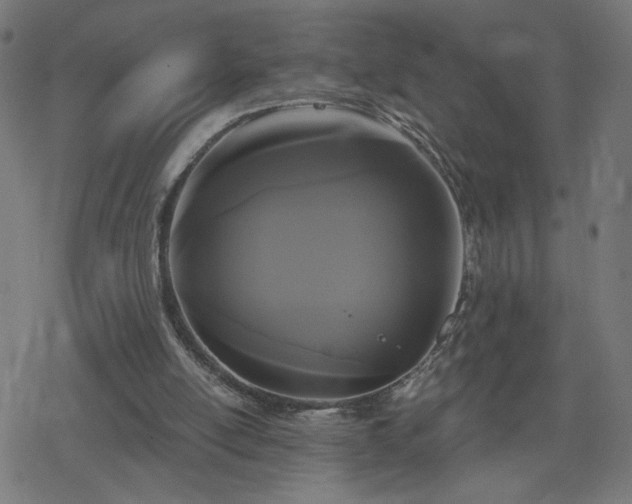 X0000078310054200611101238