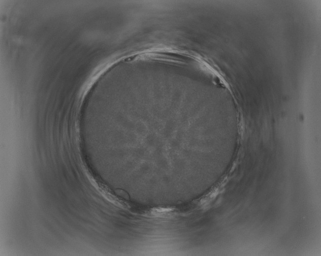 X0000078310055200611101238