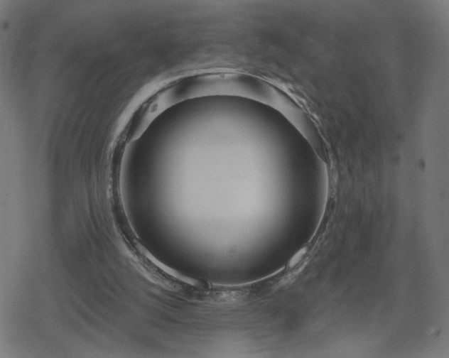 X0000078310056200611101238