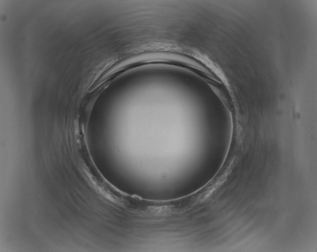 X0000078310057200611101238