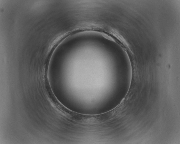 X0000078310058200611101238