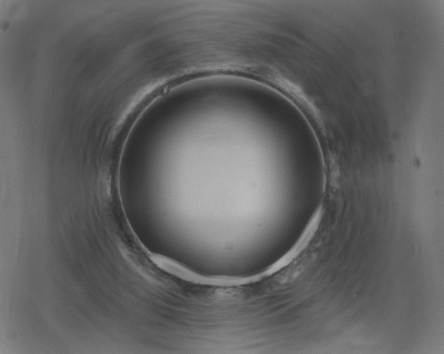 X0000078310060200611101238