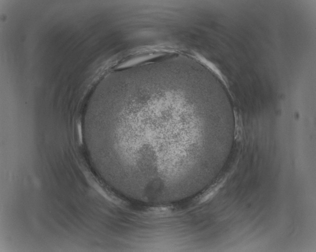 X0000078310061200611101238