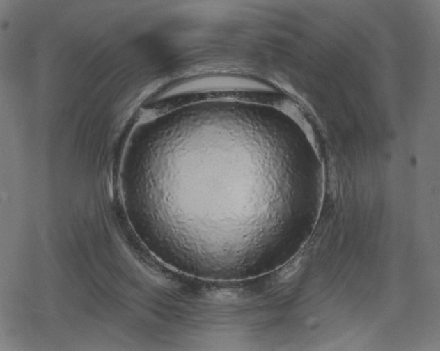 X0000078310062200611101238