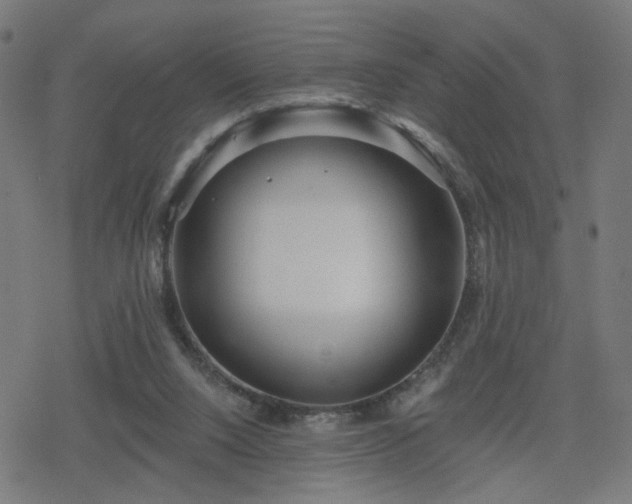 X0000078310064200611101238