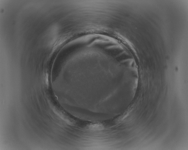 X0000078310067200611101238