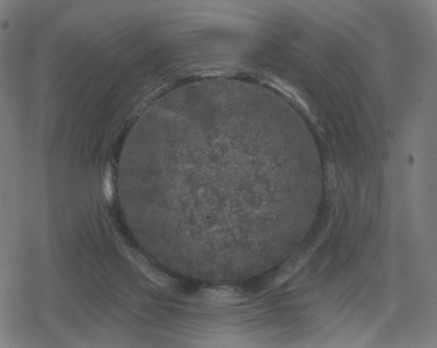 X0000078310069200611101238