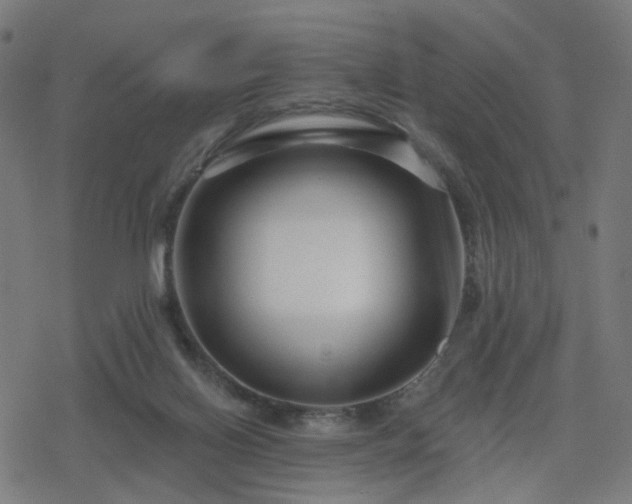 X0000078310070200611101238