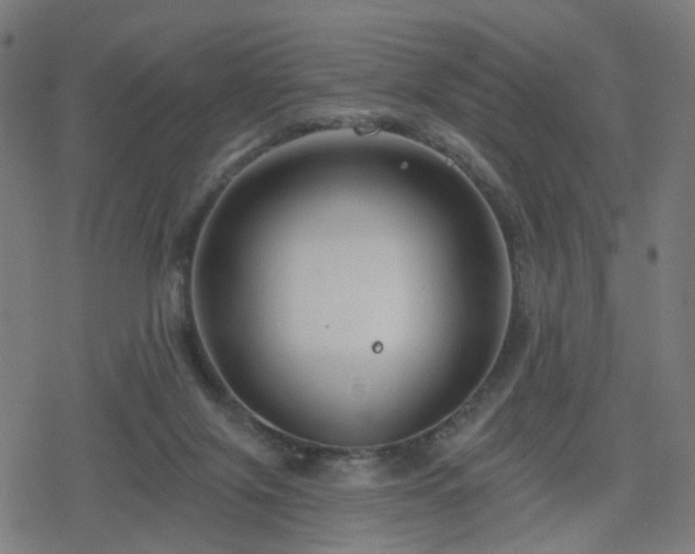 X0000078310071200611101238