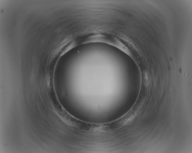 X0000078310072200611101238