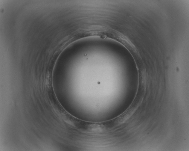 X0000078310073200611101238