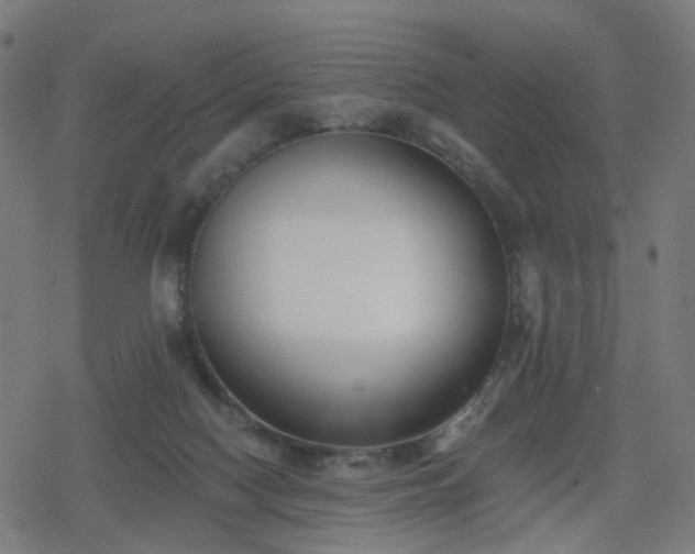 X0000078310074200611101238