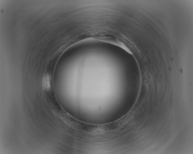 X0000078310075200611101238