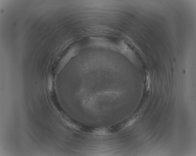 X0000078310076200611101238